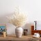 Uniquewise Preserved Real Floral Stems Chic Vase Fillers & Accents for Bouquets Centerpieces & Ornamental Displays Ideal for Home Office Boutique Cafe Resto Bar and Event Decor
